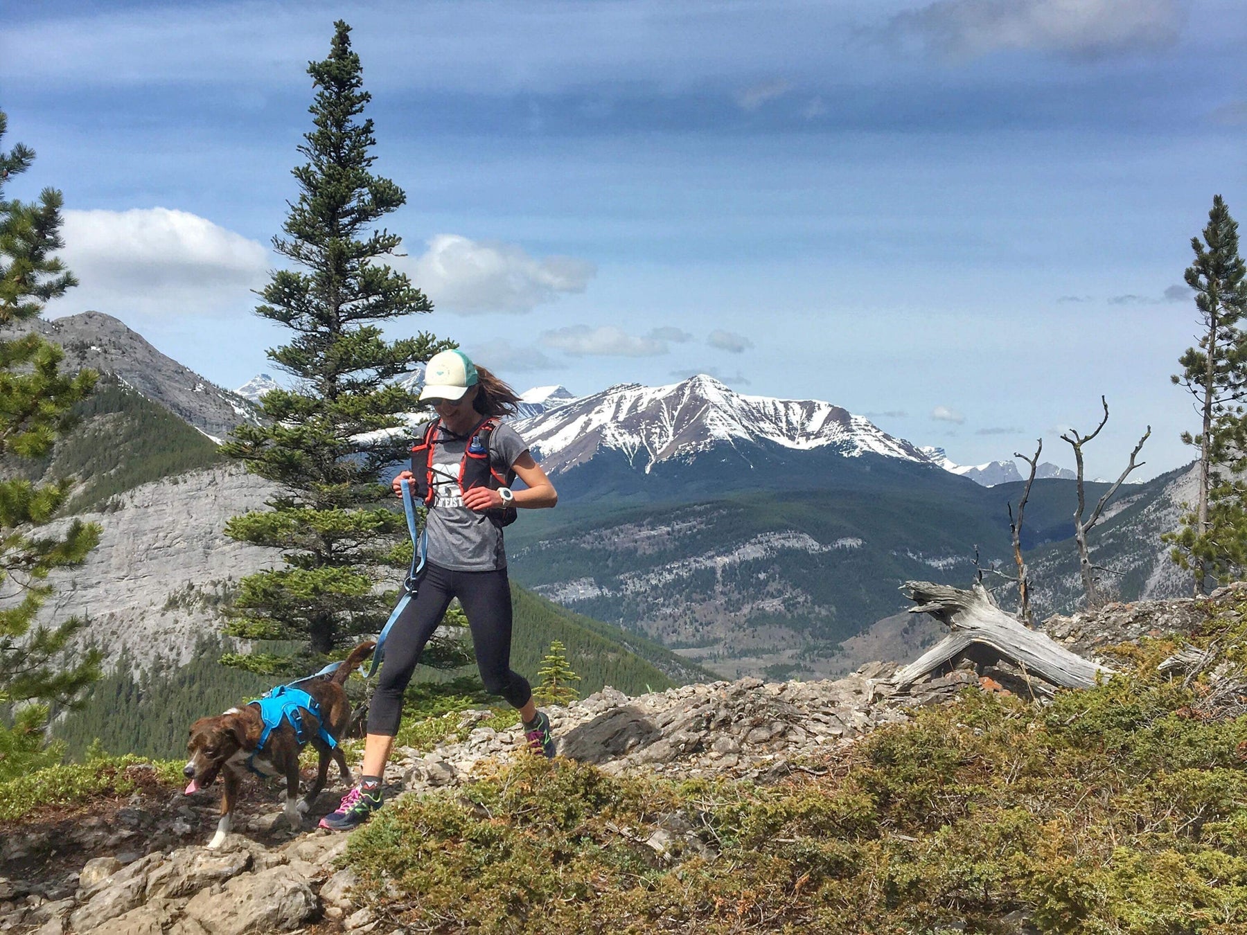 Tails on the Trails - Trail Running with your Dog
