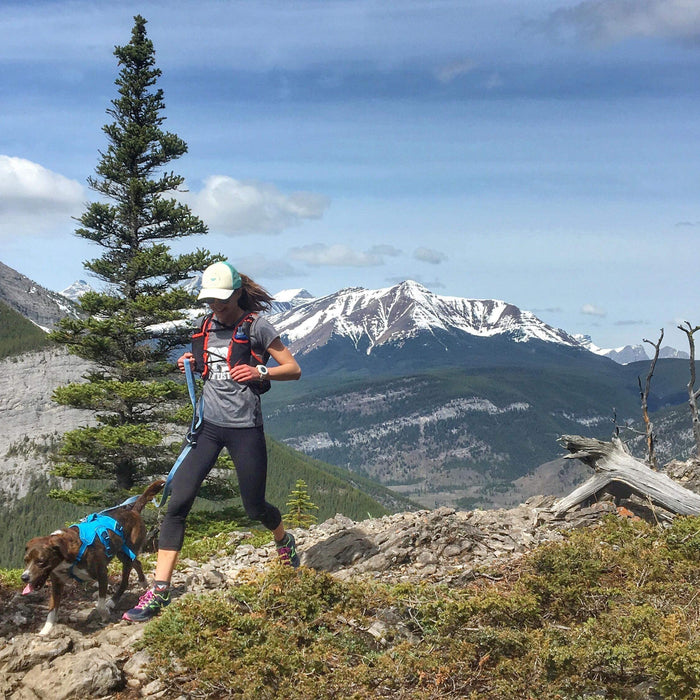 Tails on the Trails - Trail Running with your Dog