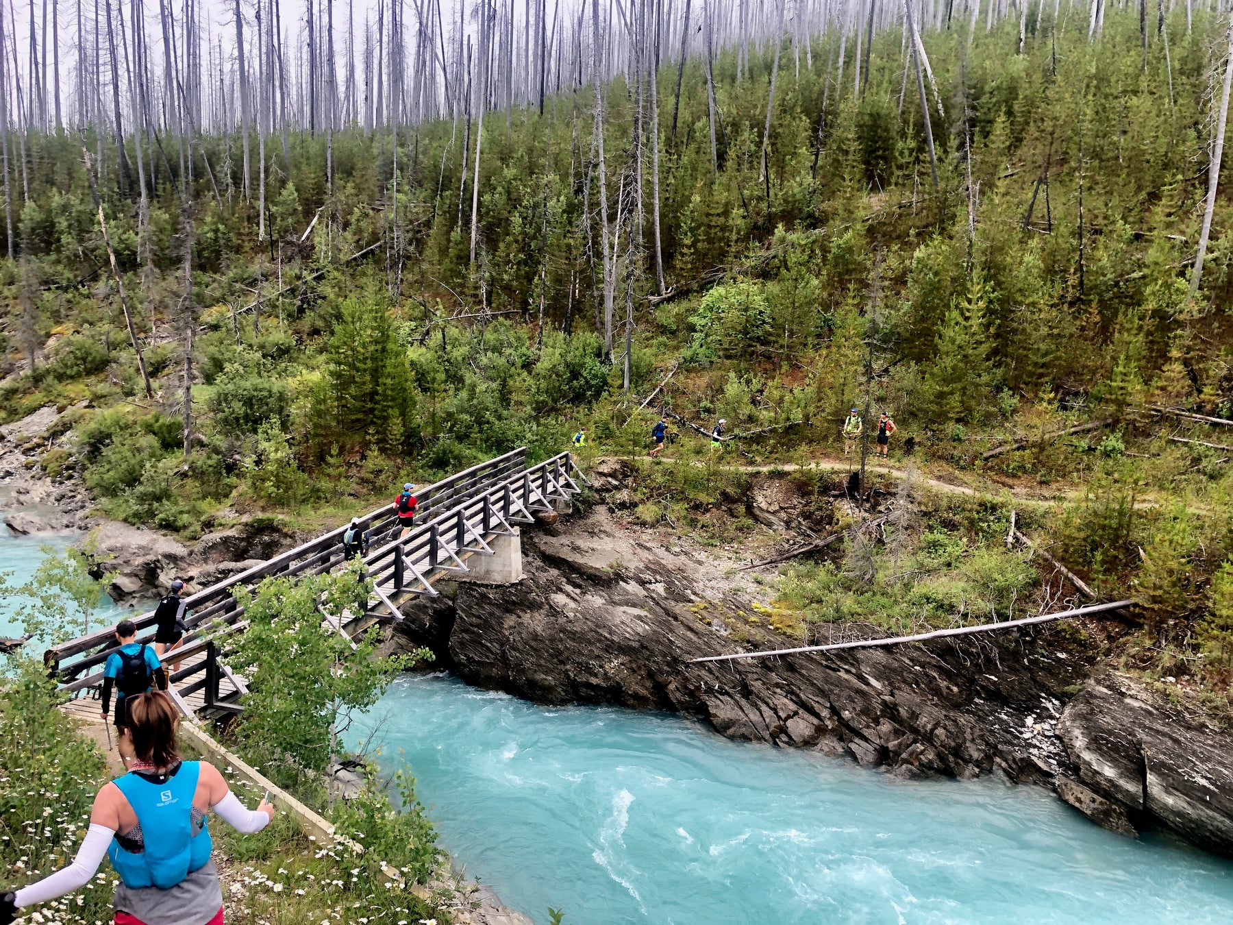 Long Runs in the Rockies: Our Five Favourite Trails
