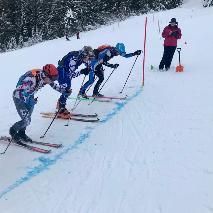 Cheat skis and Type 2 fun: Fernie Lizard Skinner