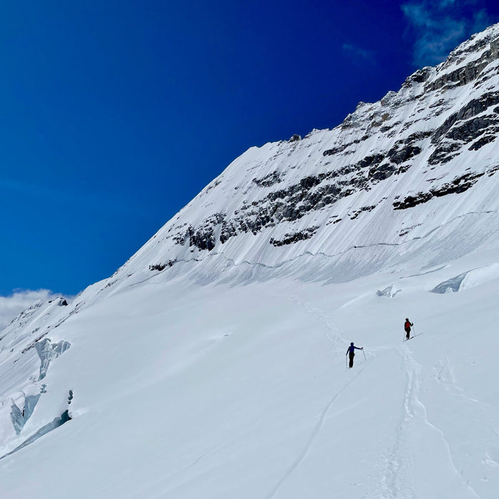 Spring Skiing Quiver: Our Team's Picks