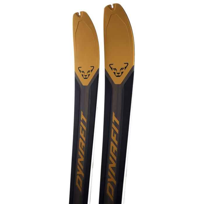 Dynafit Ridge 95 Skis