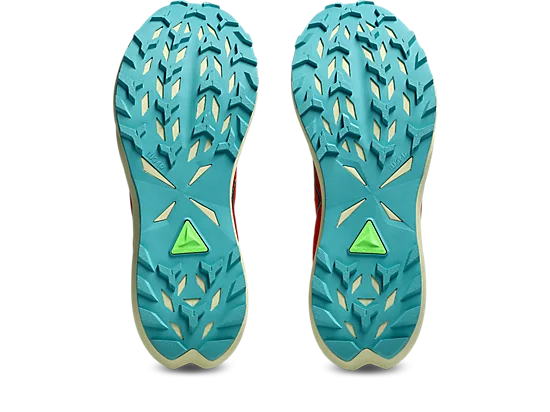 Asics Fuji Lite 6 Shoes (Men's)