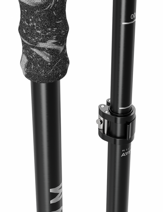 Deorum Apollo FR Ski Pole