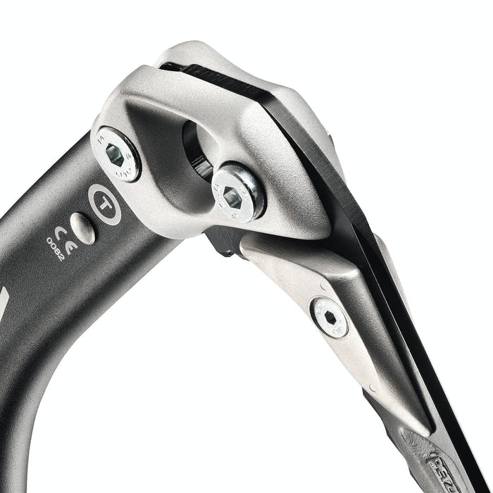 Petzl Masselottes Pick Weights