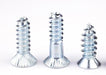 Alpine Binding Screws - SkiUphill/RunUphill